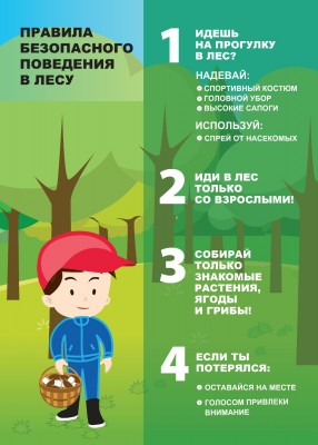 Рекомендации родителям и детям о правилах поведения  в лесу.