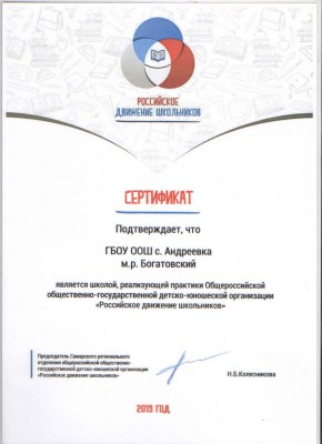 Сертификат РДШ ГБОУ ООШ с. Андреевка
