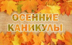 Осенние каникулы для обучающихся 1 - 9 классов ГБОУ ООШ с.Андреевка продлятся с 28 октября по 08 ноября 2020г.